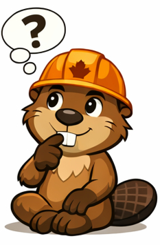 Hunter the Beaver looking curious